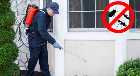 Suluova Haşere İlaçlama böcek ilaçlama ve haşere kontrolü — ilaclama-tr.com